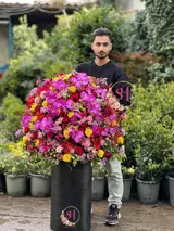 باکس گل رستا