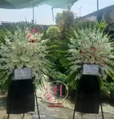تاج گل گلایل ارزان 