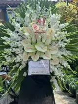 تاج گل گلایل ارزان 