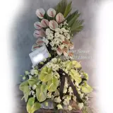 سبدگل آنتریوم و لیسیانتوس (لاکچری) 